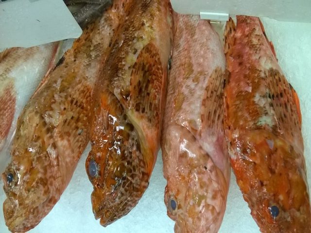 lipsos