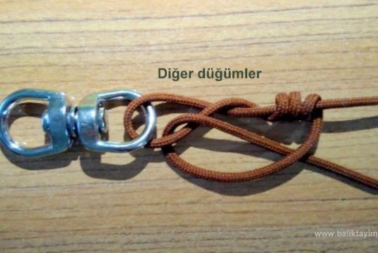 diger dugumler