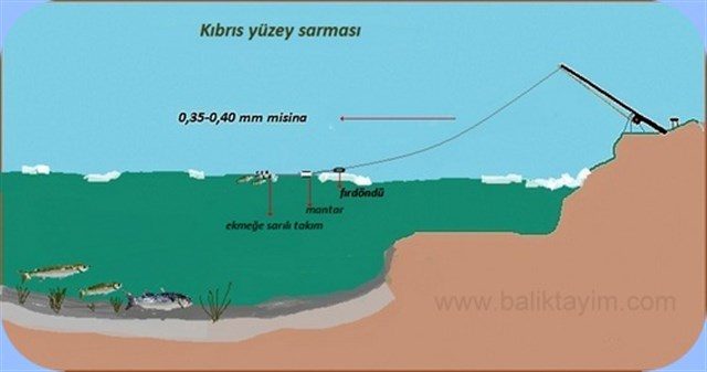 kefal sarma