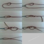 rapala
